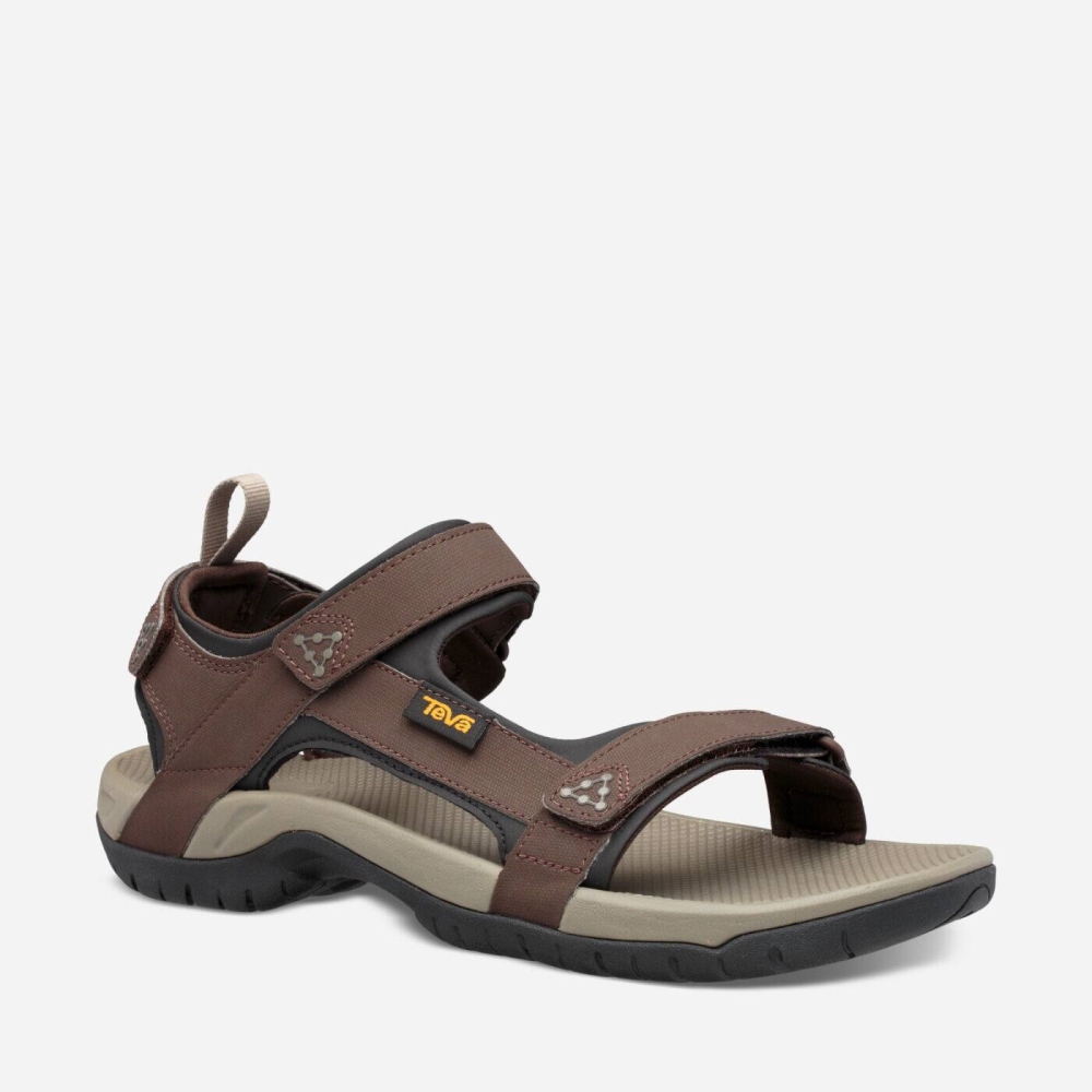 Teva Meacham Men's Hiking Sandals South Africa - JHG491053